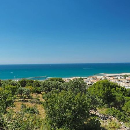 Grand T2 Esprit Loft Coeur De Ville Sète Esterno foto